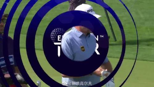 迪拜爆料新闻视频最新版,揭秘神秘事件背后的真相