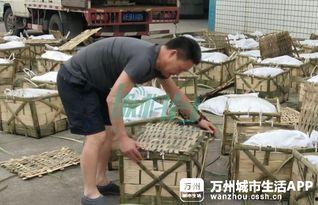 大渝网爆料台最新